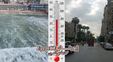 توقعات درجات الحرارة في القاهرة والإسكندرية وجميع المحافظات خلال يوم الخميس 19 مارس